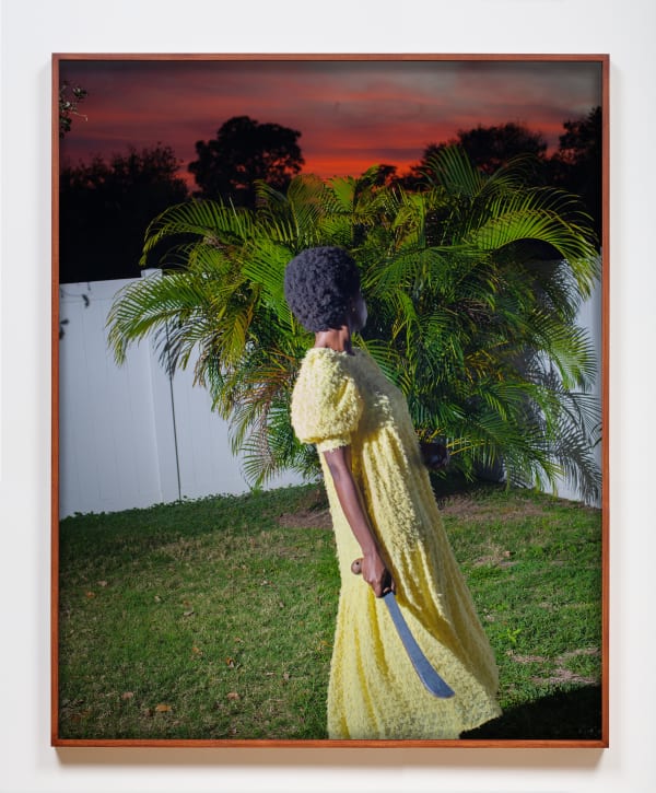 Widline Cadet Land of Plenty #1, 2021 Archival inkjet print 50 x 40 in 127 x 101.6 cm