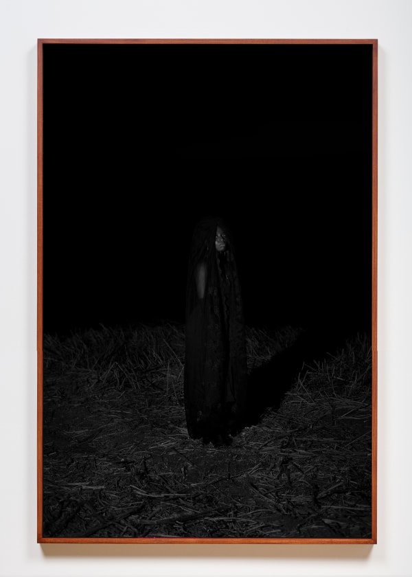 Widline Cadet Land of Plenty #1, 2021 Archival inkjet print 50 x 40 in 127 x 101.6 cm