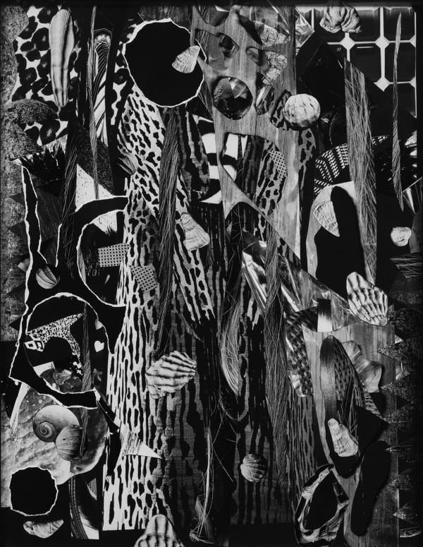 Fay Ray, Untitled, 2015