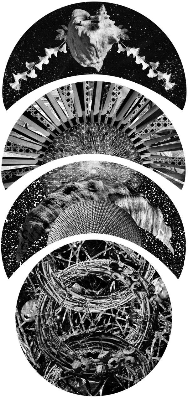 Fay Ray, Crescents, 2018