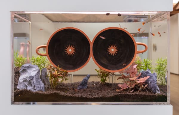 CAMMIE STAROS, Figlinum aquaticum, 2021