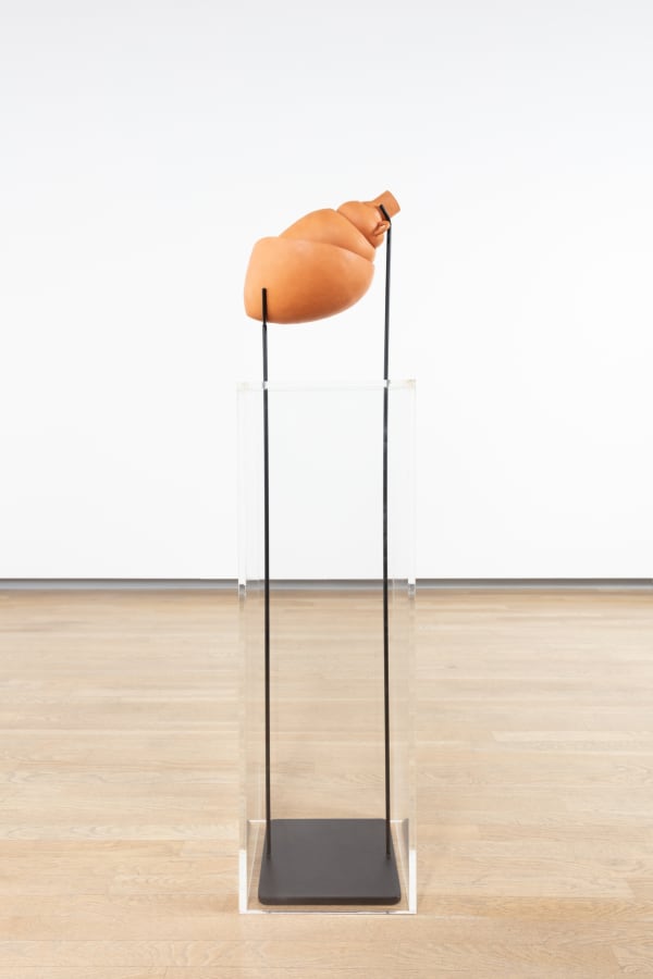 CAMMIE STAROS, Mutatio naturalis, 2020