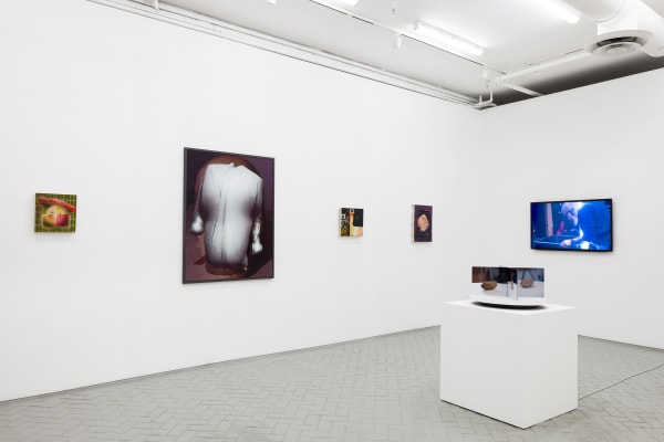 The future perfect will have arrived, curated by Bridget Mullen, January 7 – February 10, 2023, Shulamit Nazarian, Los Angeles.