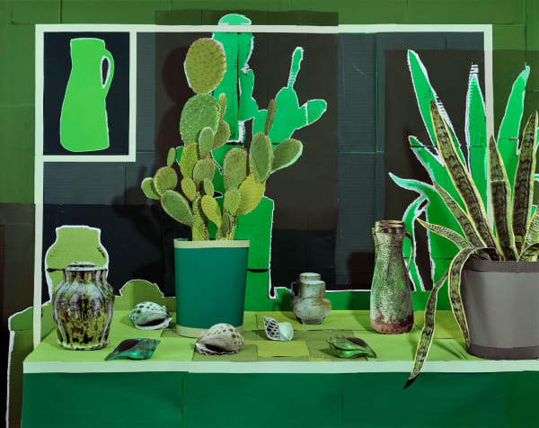 Daniel Gordon, Still Life with Succulents and Seashells, 2020. Pigment Print, 55 x 68 in.