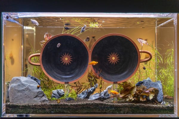 Cammie Staros, "Figlinum aquaticum," 2021. Ceramic, acrylic, wood, laminate, de-chlorinated water, aquatic filtration system, programmed grow light, aquarium soil, lace rock, quartz-veined basalt, aquatic plants (Dwarf Lily, Eusteralis Stellata, Ludwigia Repens).Cammie Staros/Shulamit Nazarian, Los Angeles