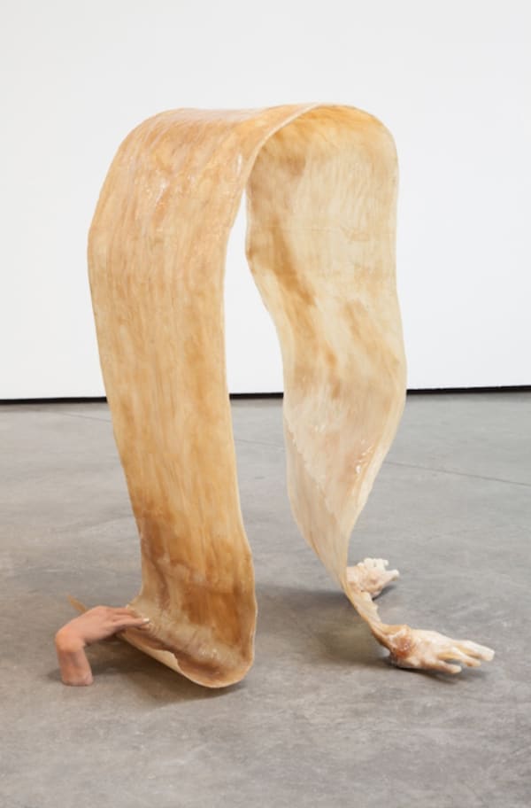 Young Joon Kwak. Hermaphroditus’s Reveal I, 2017