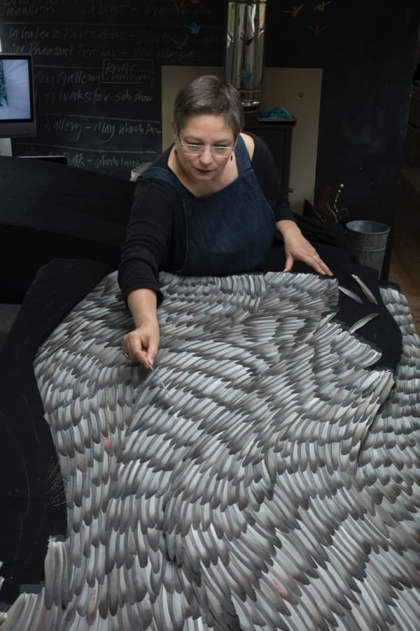 K Mcgwire Sasse From Above Photo Jo Scott Images