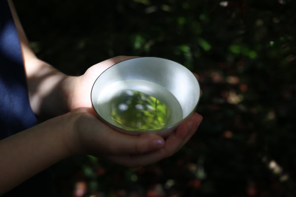 Aditoch Pooledreflections 03