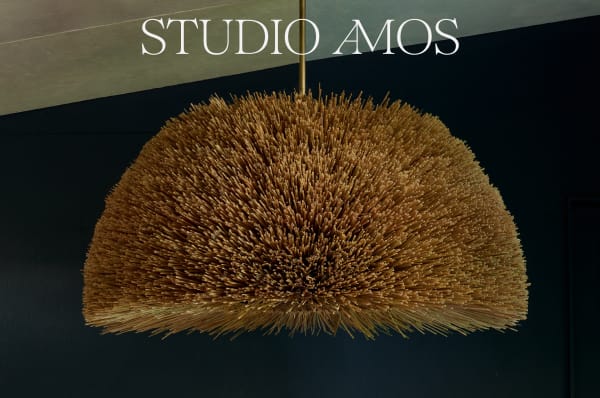 Studio Amos