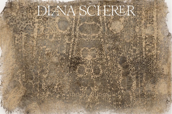 Diana Scherer