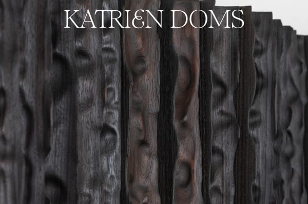 Katrien Doms