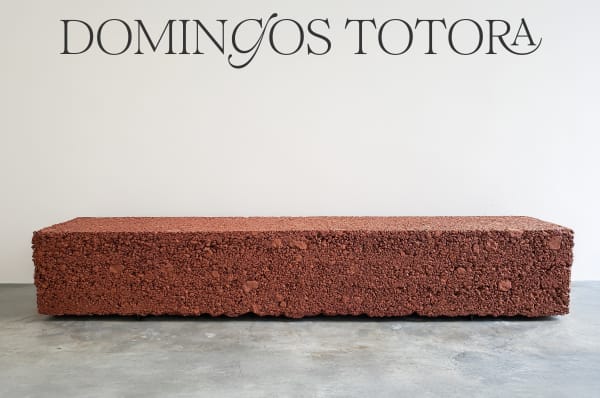 Domingos Tótora