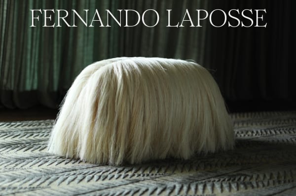 Fernando Laposse
