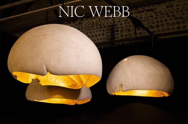 Nic Webb