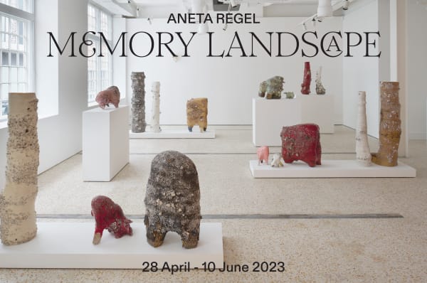 Memory Landscape : Aneta Regel