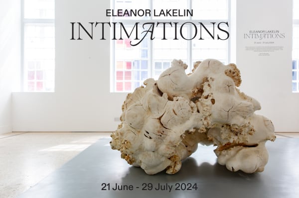 Intimations, Eleanor Lakelin | Solo Gallery Exhibition