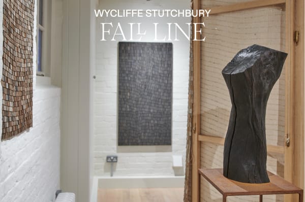 Fall Line, Wycliffe Stutchbury Solo Exhibition