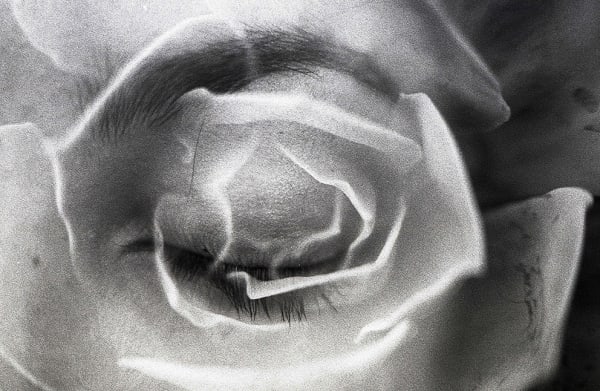 Houda Kabbaj, Untitled