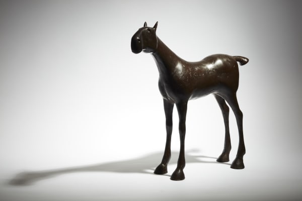 Anthony Scott RUA Horse