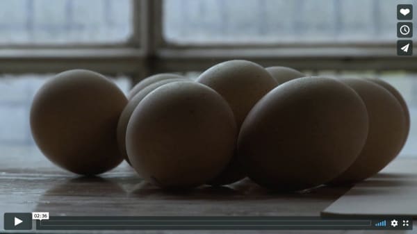 FRAME FOUNDRY / COMHGHALL CASEY FILM