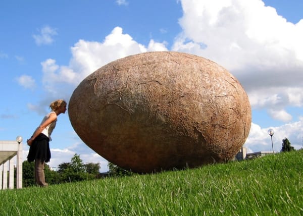 'NOAH'S EGG' unveiled at UCD Veterinary School by Dermot Weld