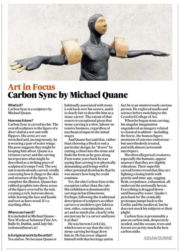 Irish Times: Art in Focus