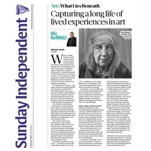SUNDAY INDEPENDENT: Michael Wann
