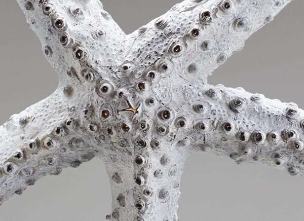 RACHEL JOYNT FATHOM: outstretched arms