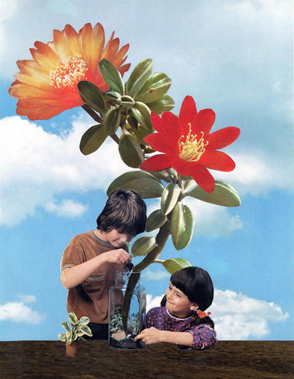 joe-webb-Growing-things-Manor-Gallery-Print-collage