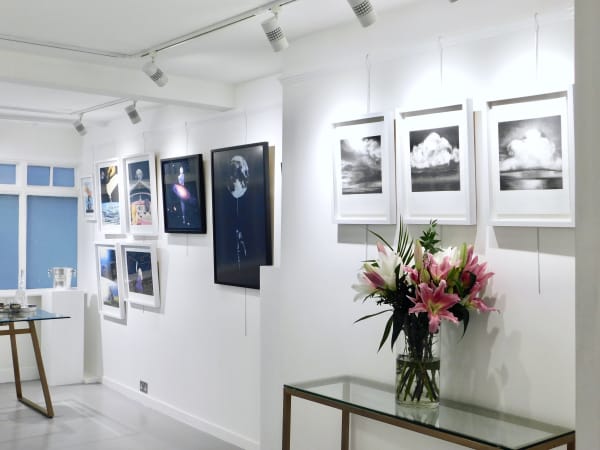 Manor-Gallery-Sophia-Lynch-Joe-Webb-Artist-Interior-Design-Flowers-Exeter-Topsham