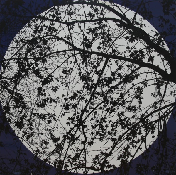 Ian Davenport + Sue Arrowsmith Midnight Moonlight 2012 acrylic and gloss on aluminium 122 x 122 cms