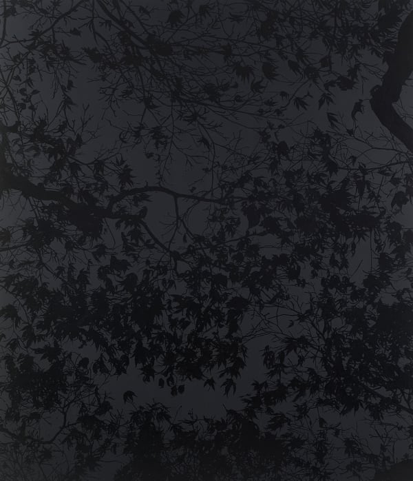 Enchanted evening 2013