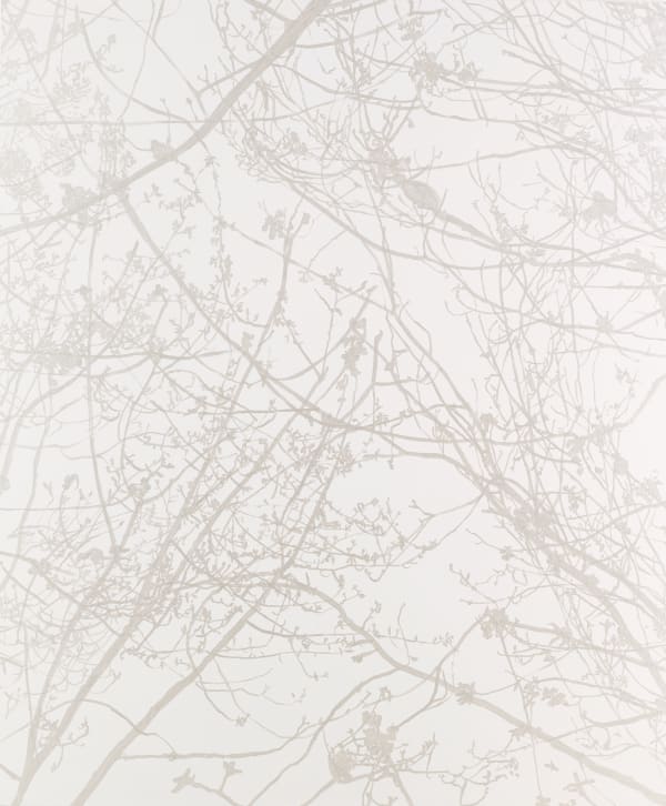 Too marvellous for words 2016