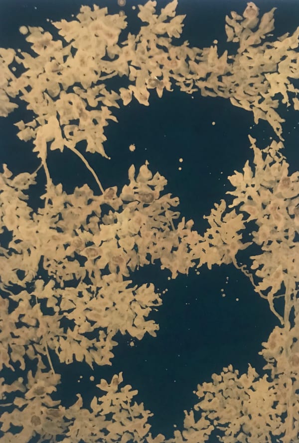 Call It Dreaming 2018