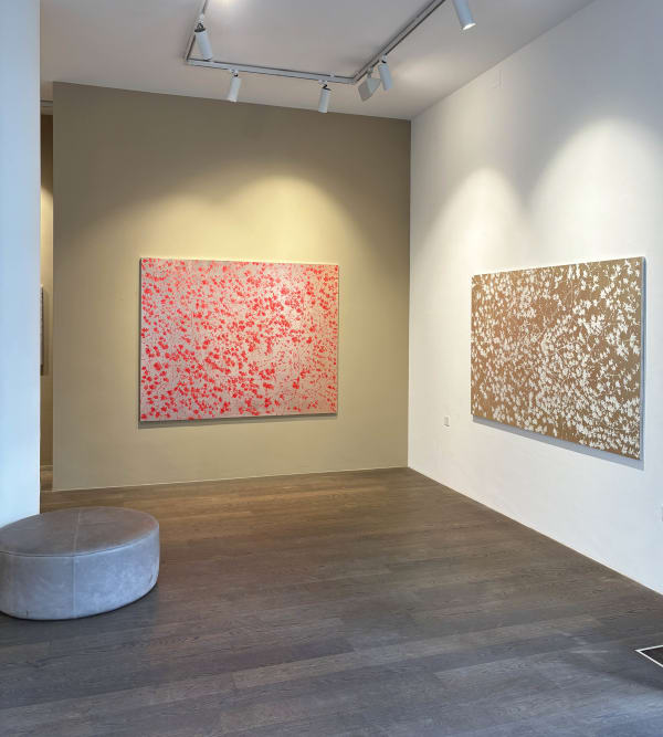 Img 9474 1 Copy Website