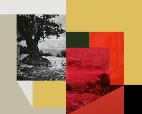 This Place Is Mine Hazem Harb 2018