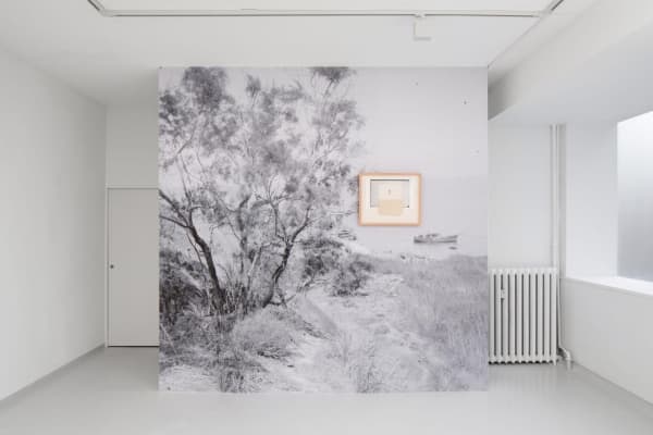 F01Dd8C4 723D 409D 8Eaf Fddd559Fd18D