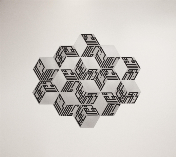 Growing 1 Cube, Silkscreen on Lenticular Print, 80 x 80, 2013