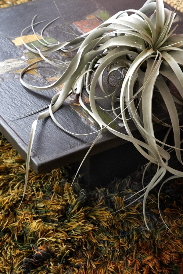 190724 T H 35031 Hero Sb Copy