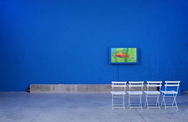 Rivane video still of love lettering on blue wall