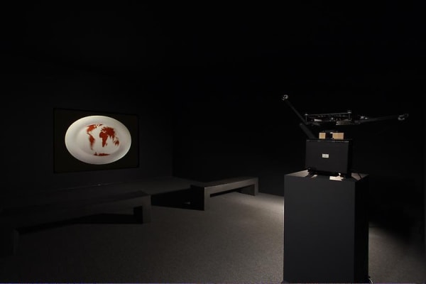 Rivane video installation, pangea
