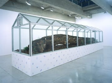 Dion Vivarium install shot