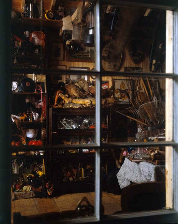 Dion house inside, curiosities