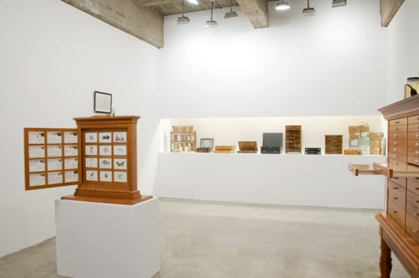 TRAVELS OF WILLIAM BARTRAM - RECONSIDERED installation image