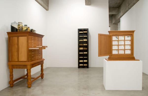 TRAVELS OF WILLIAM BARTRAM - RECONSIDERED installation image