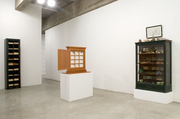TRAVELS OF WILLIAM BARTRAM - RECONSIDERED installation image