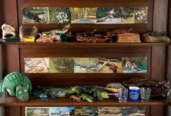 cabinet with alligator photos