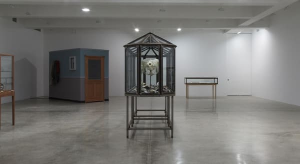 Dion install view with glass cabinets and skeletons