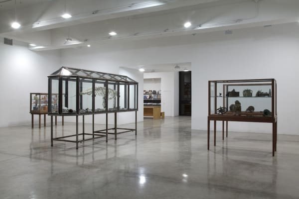 Dion install view with glass cabinets and skeletons