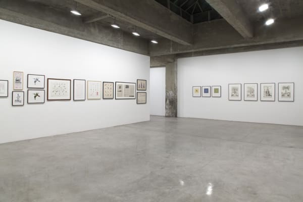 installation view of framed drawings